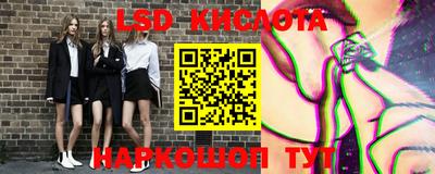 гашик Будённовск