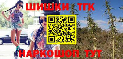 гашик Будённовск