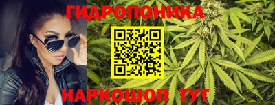 гашик Будённовск