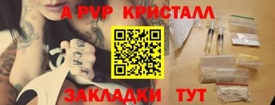 гашик Будённовск