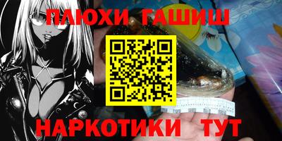 гашик Будённовск