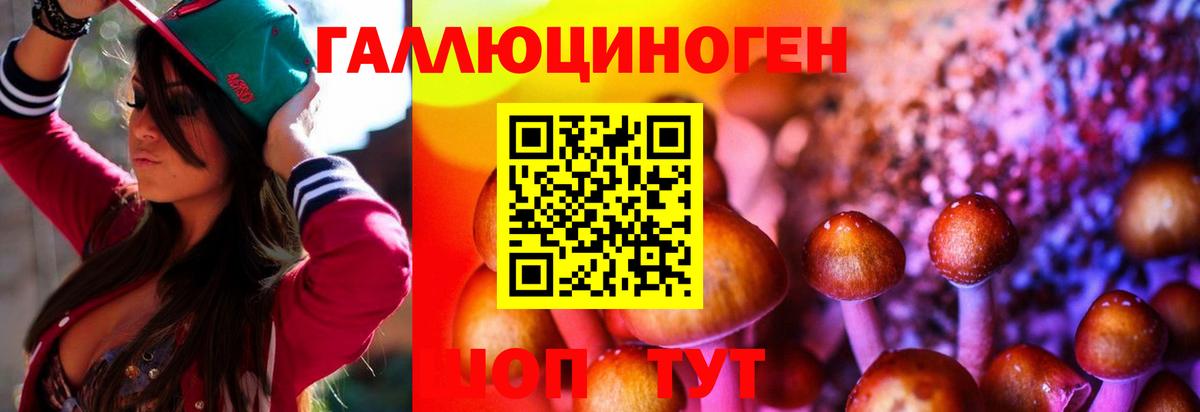 Галлюциногенные грибы Cubensis Нижнекамск